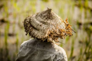 Conical Hat of Vietnam in Fine Art Photography