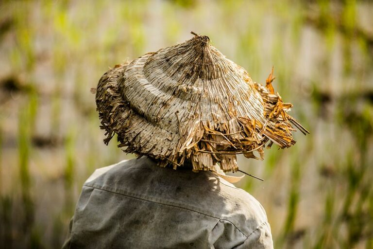 conical-hat-vietnam-rehahn-photograph