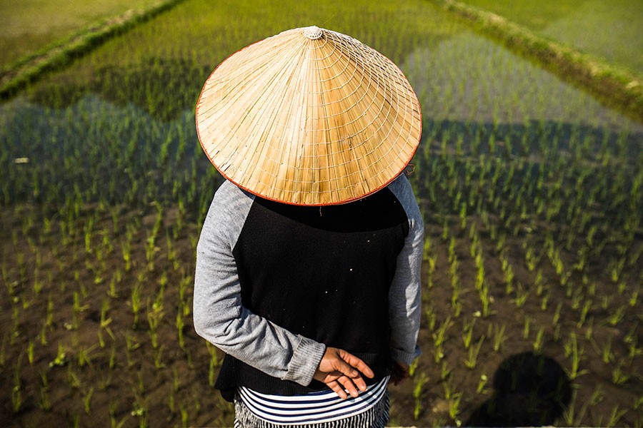 conical-hat-vietnam-rehahn-photograph