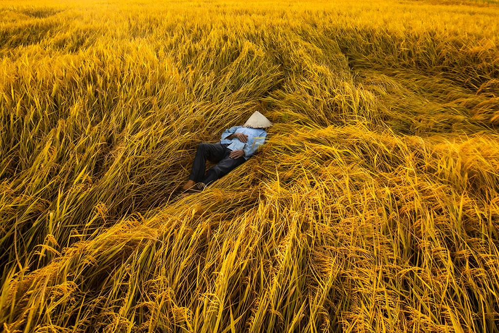 Resting-Gold-yellow-hoian-rehahn-lifestyle-photo-vietnam