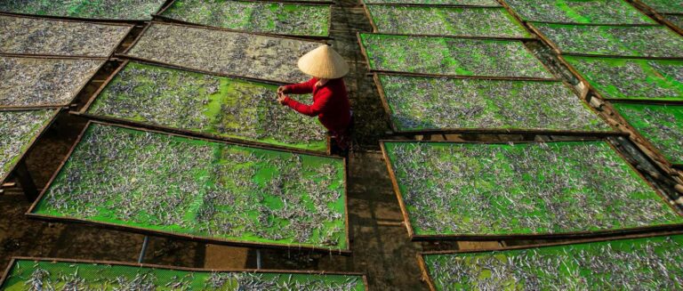 artisanal-tradition-of-vietnam-rehahn-photo