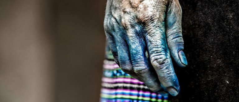 indigo-collection-rehahn-photo