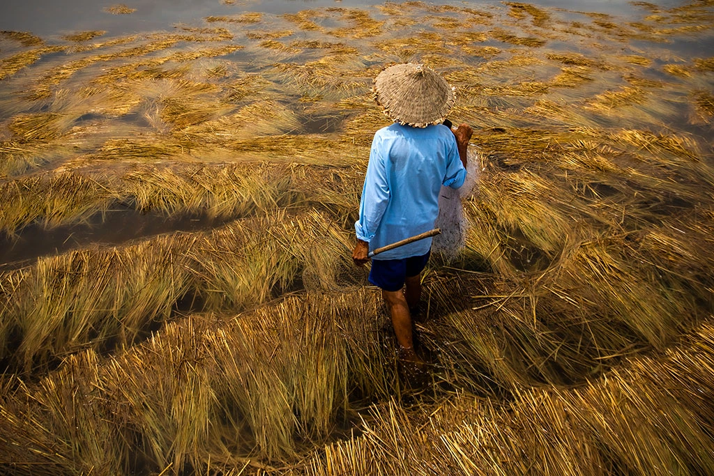 Photo of a fisherman on the floating rice field taken by Réhahn in Vietnam