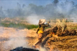 The impressionism photograhy of a Vietnamese farmer burning straw after the rice harvesting, taken by Réhahn with the heat distortion