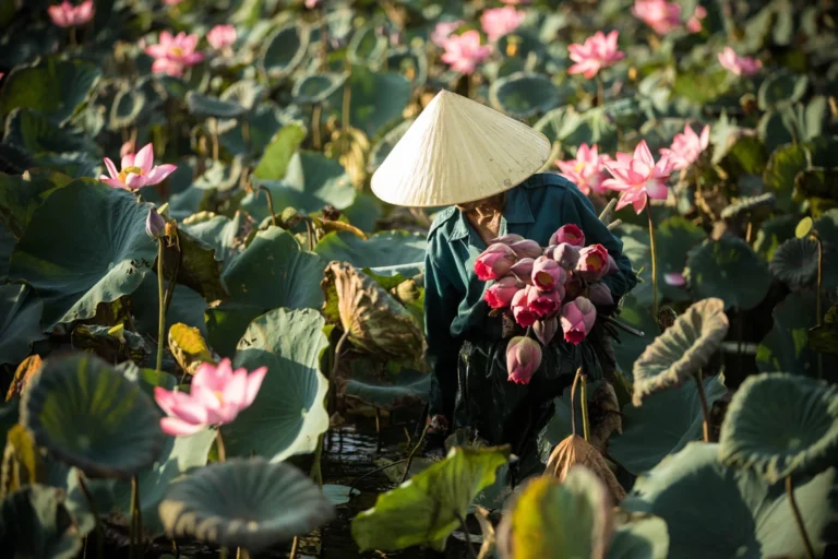 rehahn photography vietnam hidden face